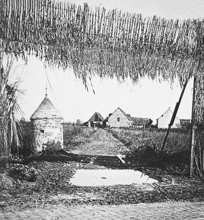 Ingenious Camouflage Used to Conceal Lines of Communication and Gun Emplacements from Hun Aviators by English Photographer